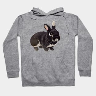 Silver Marten Rabbit with Cutesy Eyes Hoodie